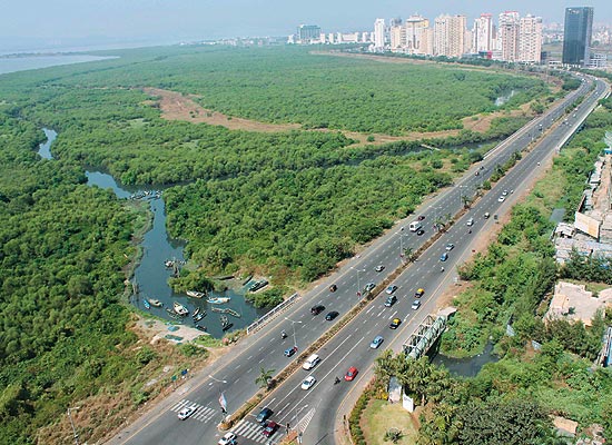 Sanpada Palm Beach Road in Sanpada